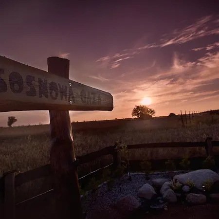 Sosnowa Oaza Апартаменты *